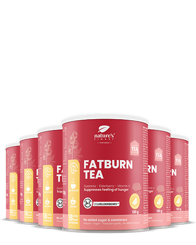 Organisches Stoffwechsel-Tee-Set , ProElderberry™ , Ideale Körperunterstützung , Vegan , 6er-Pack