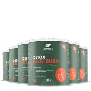 Detox Belly Burn 6x Paket