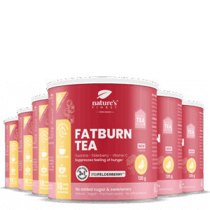 FatBurn Tea 6x Paket