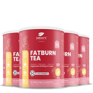 FatBurn Tea 4x Paket