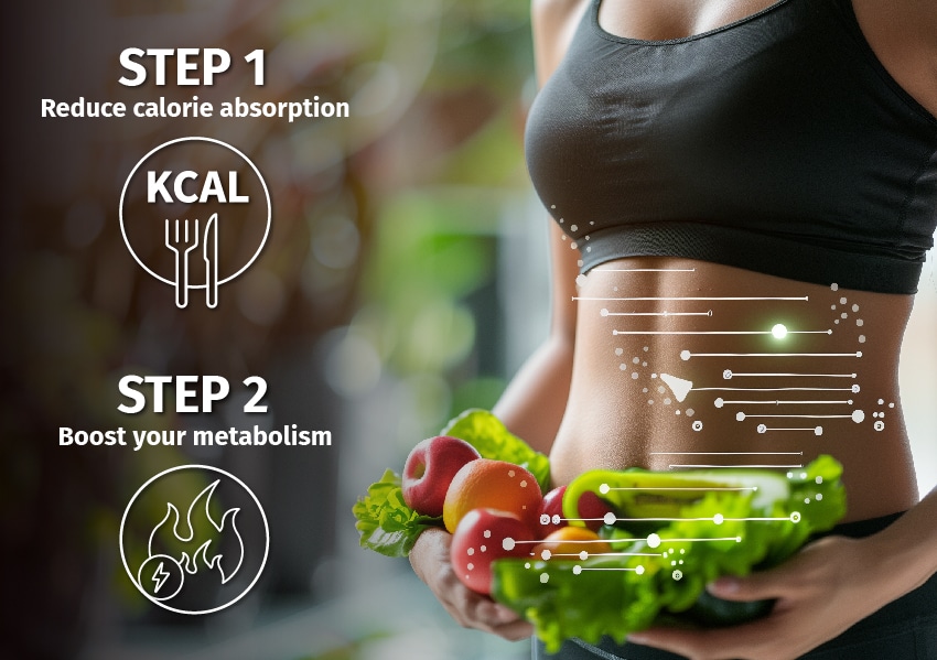 Metabolism Booster Extreme + OK!FatBurn 1+2 GRATIS