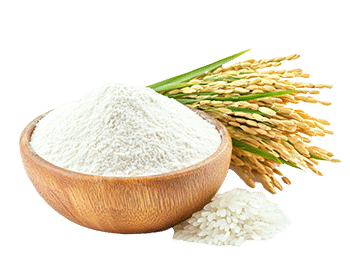 Reismehl (Oryza sativa)