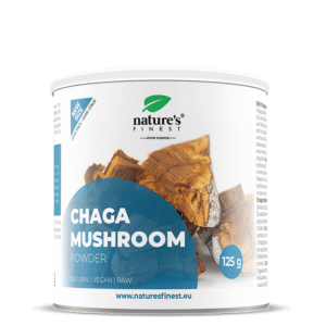 Chaga Pilz Pulver